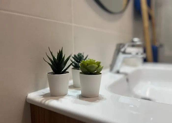 Almirante Ii Vv أرّاثيفي